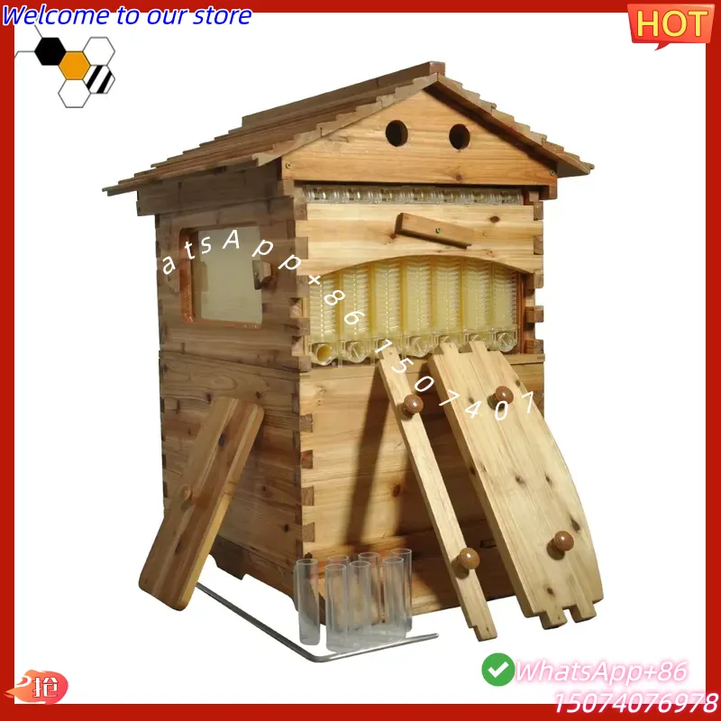 Beehive Frame Wax - 2026년형 중국산 왁스 코팅된 중국산 전나무