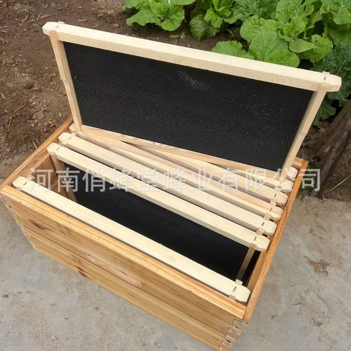 양봉 도구 최고급 무소음 플라스틱 둥지 베이스 소나무  - Beehive Frame Wax 리뷰 및 가격
