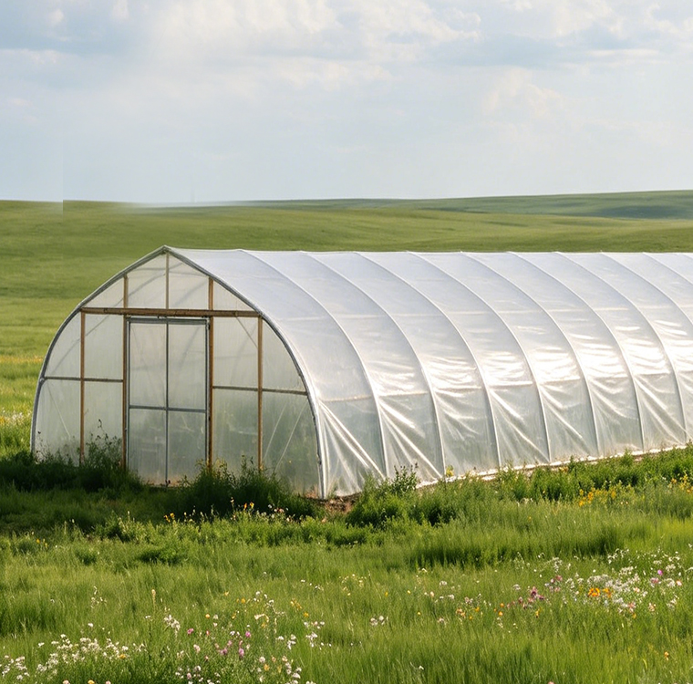 대형 농업용 온실 채소 재배 장비 터널 재배 시설 농업 - Agriculture Farm House 리뷰 및 가격