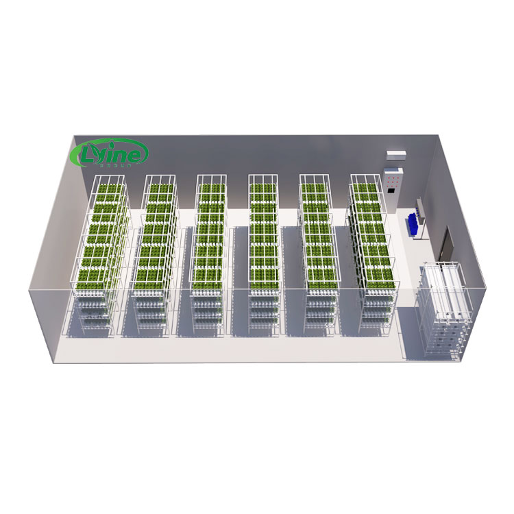 농업용 온실 상추 NFT 수경재배 시스템 수직 수경재배 - Hydroponic Farming Agriculture 리뷰 및 가격